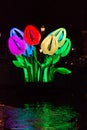 Tulips by night at Amsterdam Light Festival